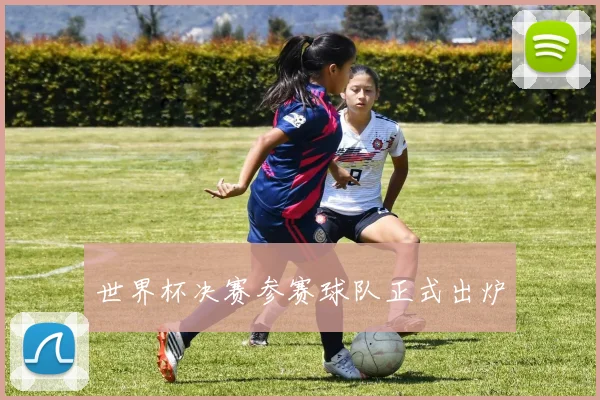 世界杯决赛参赛球队正式出炉