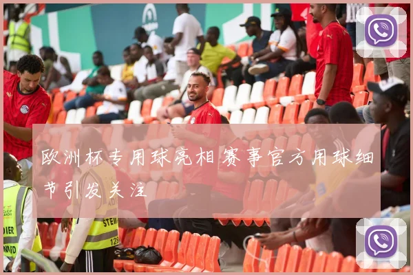 欧洲杯专用球亮相 赛事官方用球细节引发关注