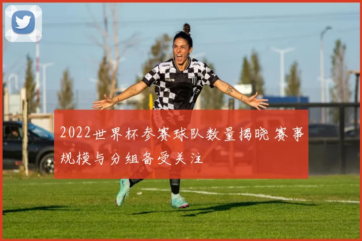 2022世界杯参赛球队数量揭晓 赛事规模与分组备受关注