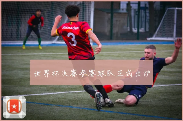世界杯决赛参赛球队正式出炉