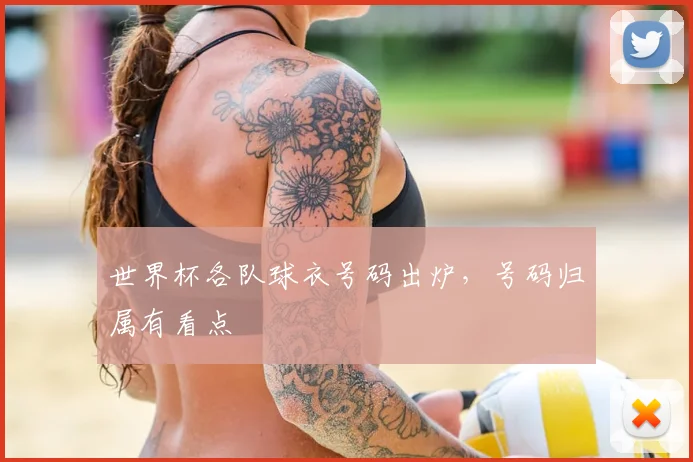 世界杯各队球衣号码出炉,号码归属有看点